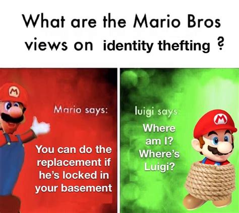 Identity theft | Mario Bros. Views / Mario Says | Know Your Meme