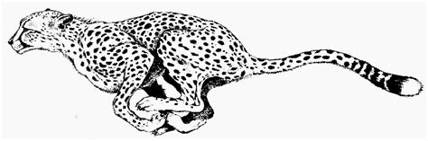 Cheetah print black and white clipart kid – Clipartix