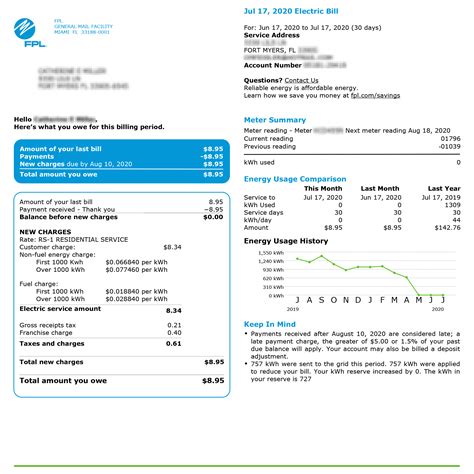 What Does A Net Zero FPL Utility Bill Look Like? - Florida Solar Design Group