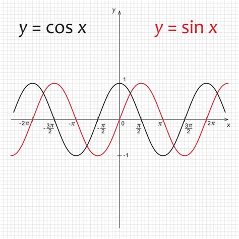 Diagram of functions Sinus and Cosinus — Stock Vector © julvil11 #46532199