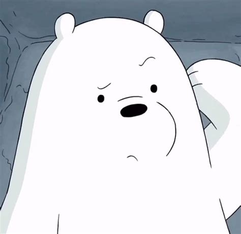 Confused. Gambar hewan lucu, Kartun, Beruang kutub, Polar Bear Cartoon HD wallpaper | Pxfuel