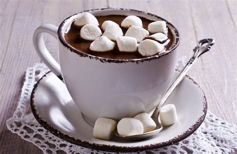 Dark Chocolate Hot Cocoa Recipe | SparkRecipes