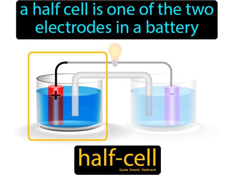 Half Cell - Easy Science | Cell definition, Cell games, Electrochemistry