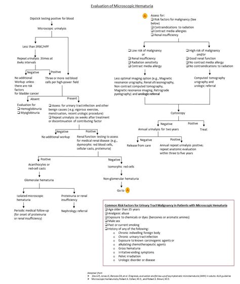 Hematuria diagnostic evaluation - wikidoc