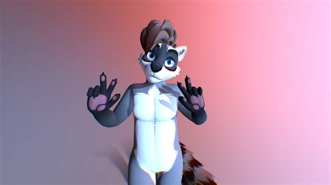 Male Raccoon VRChat Avatar - 3D model by Meelo [a05d66a] - Sketchfab