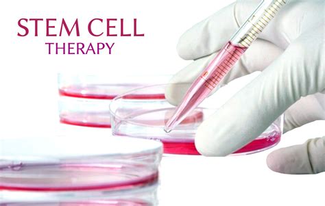 5 Benefits of Stem Cell Therapy ~ Medical Tourism In India