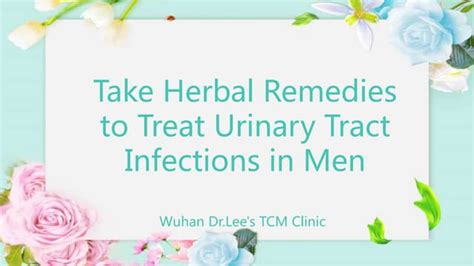 Take Herbal Remedies to Treat Urinary Tract Infections in Men | PPT