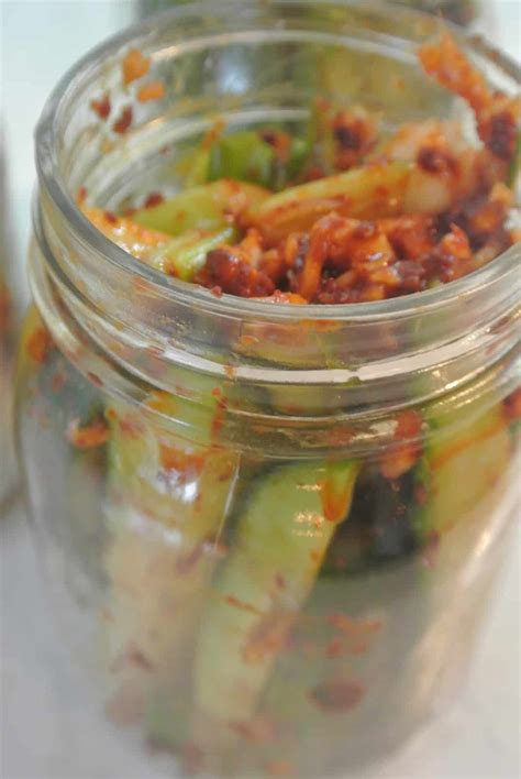 Spicy Korean Cucumber Kimchi - My Tasty Trials