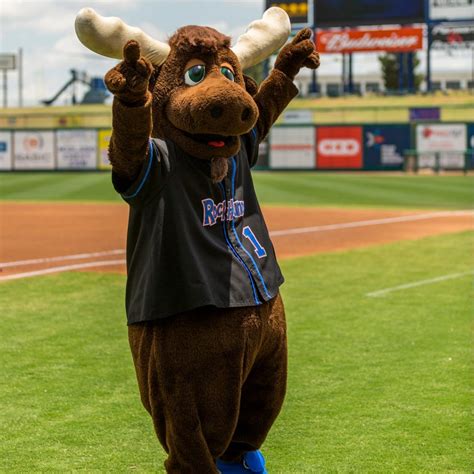 Top 10 Texas Minor League Baseball Teams and Their Lovable Mascots ...