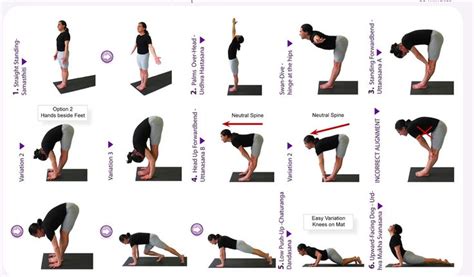 Find Your Zen with Yoga for Beginners | Yoga for beginners, Basic yoga ...