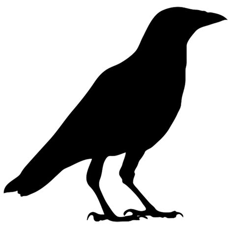 70 views | Bird silhouette, Crow silhouette, Sillouette art