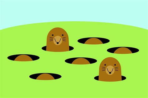 Playing Whack-A-Mole With Issue-Based Climate Campaigns – SkyWaterEarth