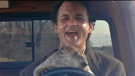 Bill Murray Reenacts ‘Groundhog Day’ By Going To See ‘Groundhog Day ...