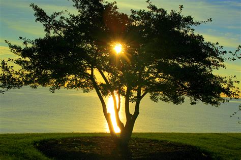 Chicago Lakefront Sunrise | Shutterbug