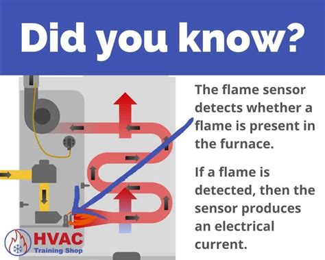 Furnace Flame Sensor – Everything You Need to Know | HVAC Training Shop