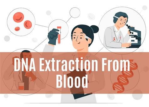 How To Extract DNA From Whole (Fresh), Frozen, Dried and Clotted Blood ...