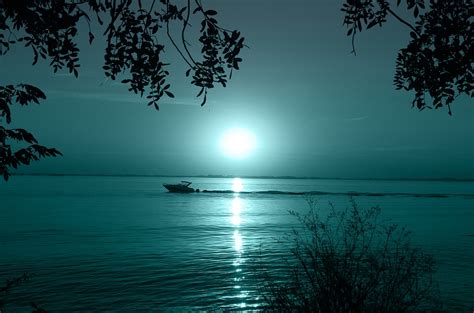 Download Moonlight, Night Sky, Lake. Royalty-Free Stock Illustration Image - Pixabay