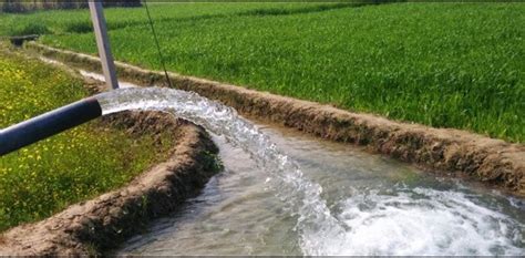 Agriculture industry must learn how to use water properly: experts