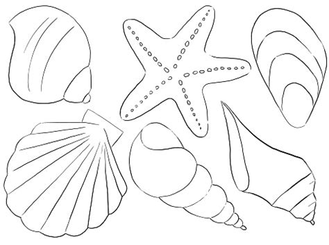 Vetores de Conchas E Estreladomar Feitas De Contornos Pretos Elementos ...