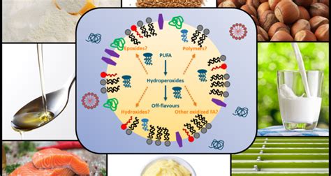 Food lipids - WUR