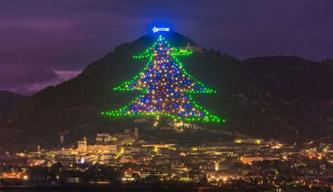 Biggest Christmas Tree in the World lights up from Bethlehem to Italy ...