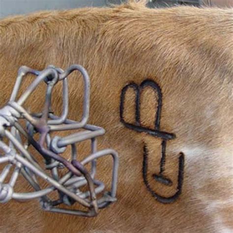 Electric Cattle Brander - Branding Irons Unlimited