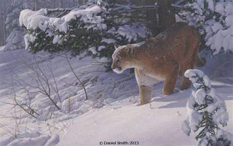 Daniel Smith Wildlife: Original Paintings | Big cats art, Wildlife ...