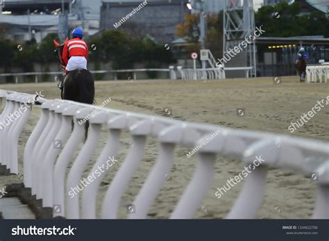 Race Horse Japan Stock Photo 1244622706 | Shutterstock