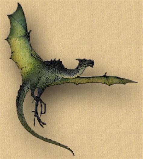 Wyvern | Dragonology Wiki | Fandom