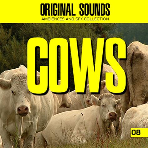 Cows | Cow Sound Effects Library | asoundeffect.com