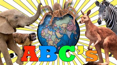 Animal Alphabet Abc Song