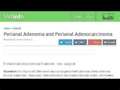 Treatment For Perianal Adenomas Tumors In Neutered Male Dogs - YouTube