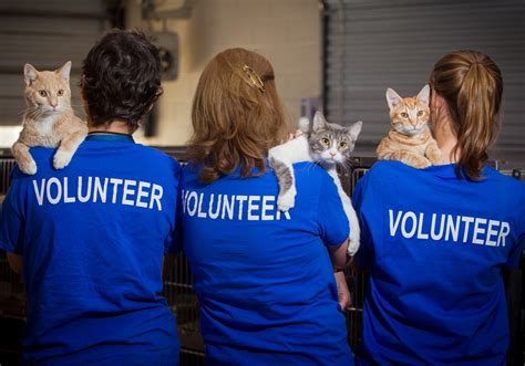 10 Reasons to Volunteer at the Humane Society of Loudoun County