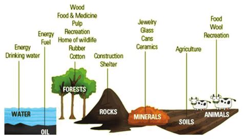 Different types of natural resources: Renewable and nonrenewable ...