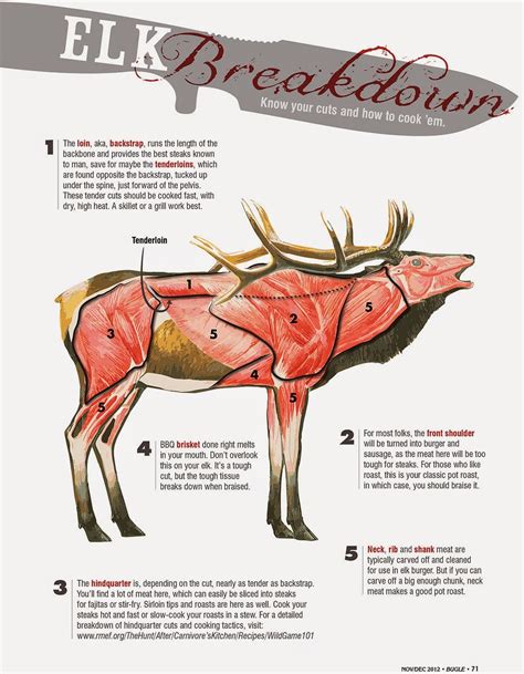 Elk Meat Cutting Chart