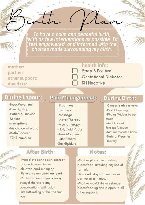 Neutral natural birth plan template digital download print ready – Artofit