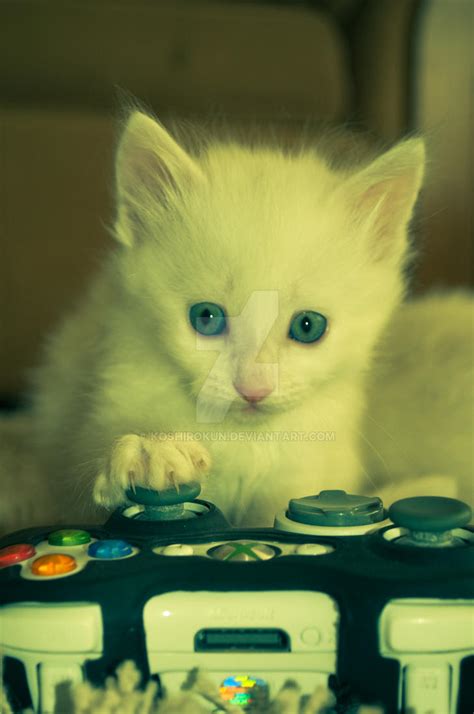 Xbox Cat by koshirokun on DeviantArt