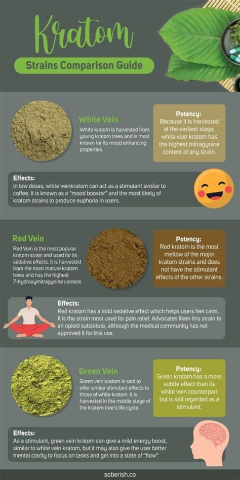 Kratom Strains - What's the Difference and Are They Safe?