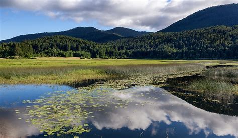 The Largest Lakes in Slovenia - WorldAtlas