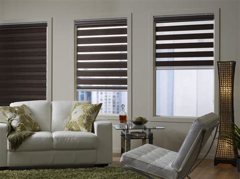 Zebra Blinds | Suitable For All Size Of Window Panel - Bidai