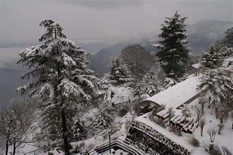 Mussoorie Winter Photograph by Padamvir Singh