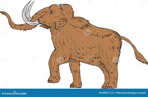 Woolly Mammoth Prancing Drawing Stock Vector - Illustration of mastadon ...