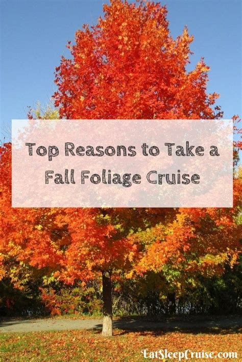 Top 10 Reasons to Take a Fall Foliage Cruise in 2019