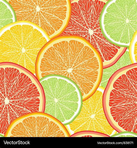 Abstract color background with citrus fruit Vector Image