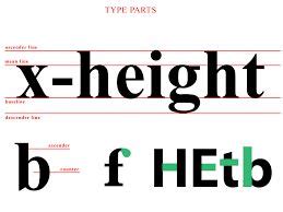 font ascender descender | Letter form, Lettering, Typography