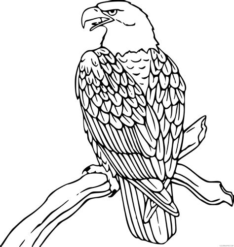 Black and White Eagle Coloring Pages eagle Printable Coloring4free - Coloring4Free.com