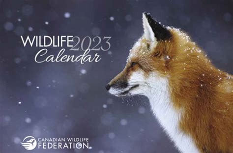 Canadian Wildlife Calendar - Jessica Thomson