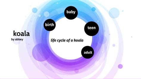 koala life cycle by abbey whitehead on Prezi