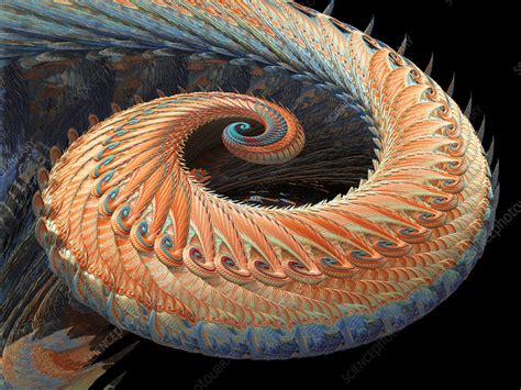 Dragon tail fractal - Stock Image - A925/0401 - Science Photo Library