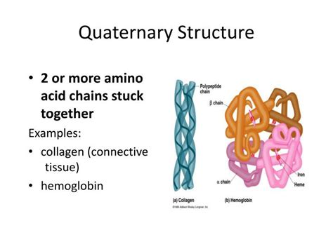 PPT - Proteins! PowerPoint Presentation - ID:2973187